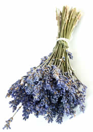 Lavendel drogen